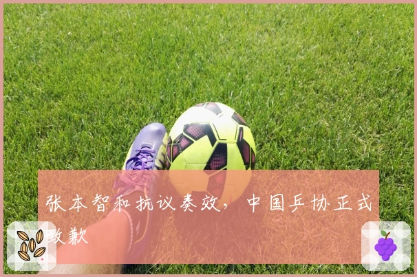 张本智和抗议奏效，中国乒协正式致歉