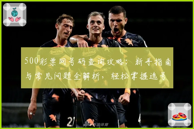 500彩票网号码查询攻略：新手指南与常见问题全解析，轻松掌握选号技巧